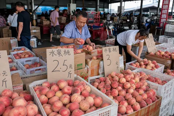 范玨 · 《平谷大桃品牌升级》
